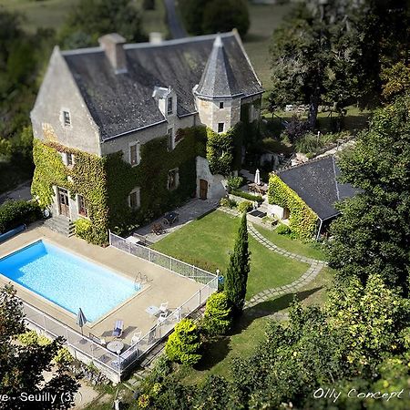 Bed and Breakfast Chinon Manoir De L'Abbaye Seuilly Exterior foto